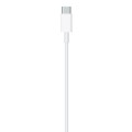 Apple Kabel USB-C TO LIGHTNING (2M)