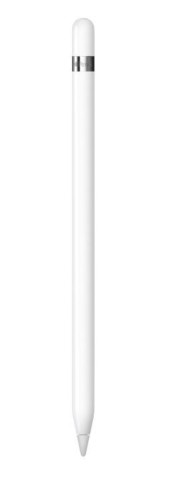 Apple Rysik Pencil 1. generacja