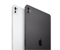 Apple iPad Pro 13-calowy Wi-Fi + Cellular 2 TB ze szkłem o nanoteksturze - Gwiezdna czerń